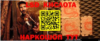 гидра Будённовск