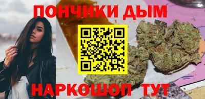 гидра Будённовск