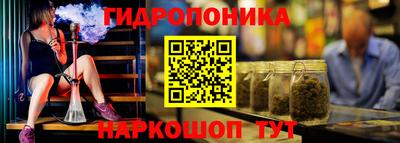 гидра Будённовск