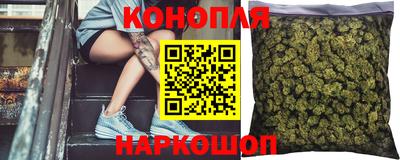гидра Будённовск