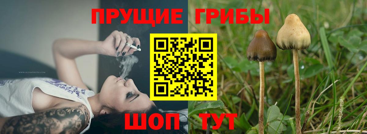 закладка  Вход с VPN  Отрадное  Галлюциногенные грибы мухоморы 