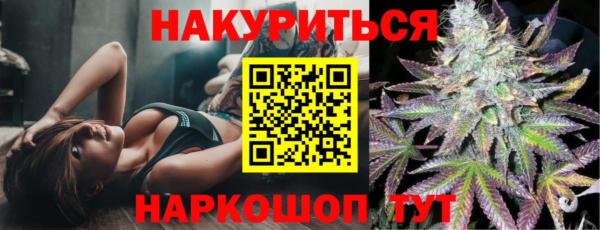 Канабис ГИДРОПОН Отрадное